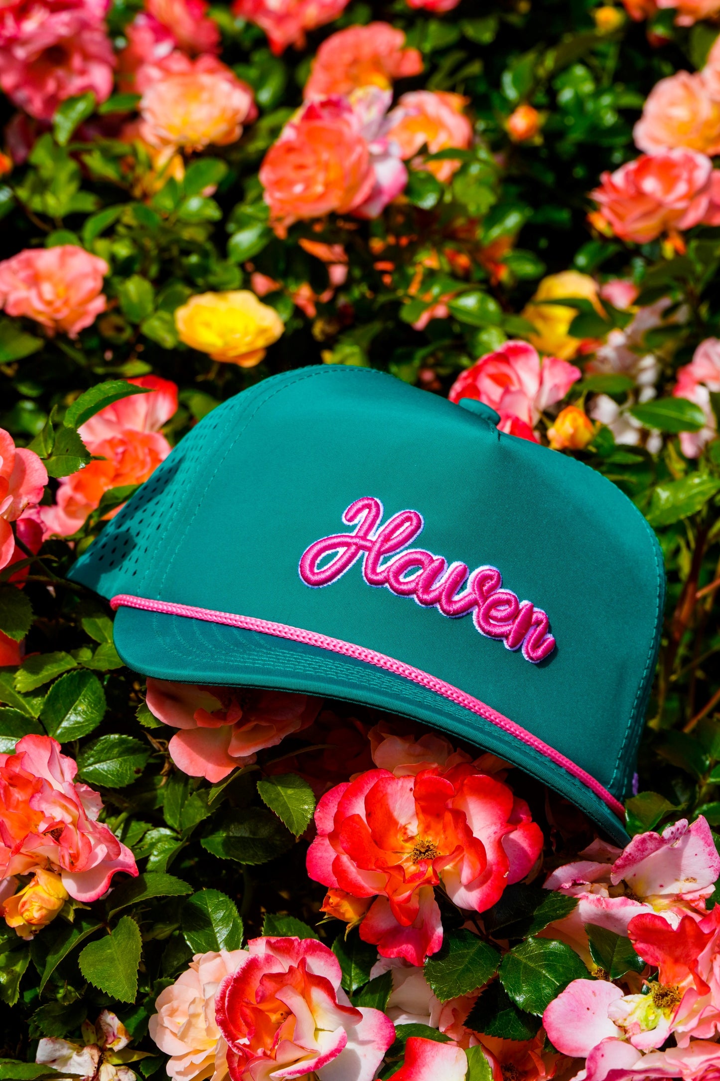 The Azalea